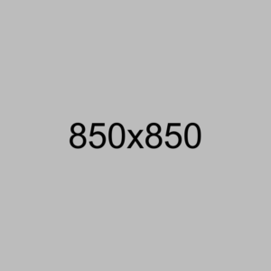 _0003_Calque-6